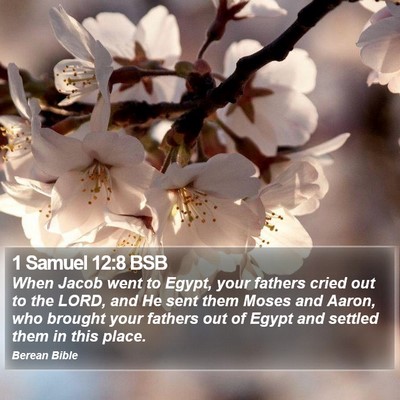 1 Samuel 12:8 BSB Bible Verse Image