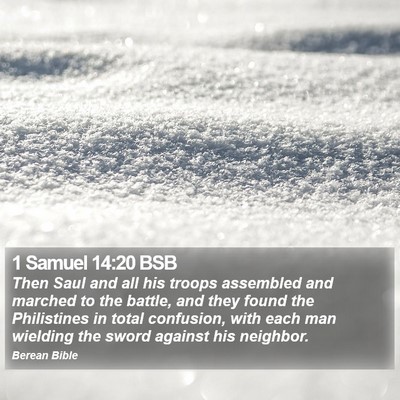 1 Samuel 14:20 BSB Bible Verse Image