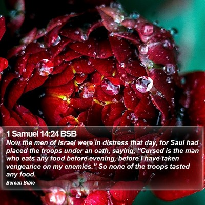 1 Samuel 14:24 BSB Bible Verse Image