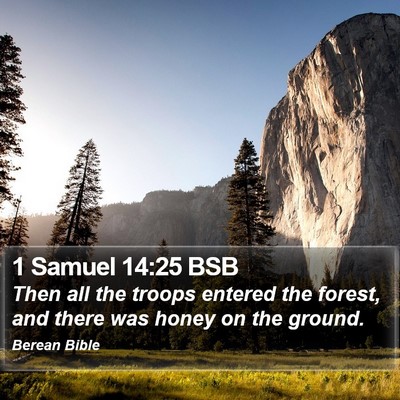 1 Samuel 14:25 BSB Bible Verse Image