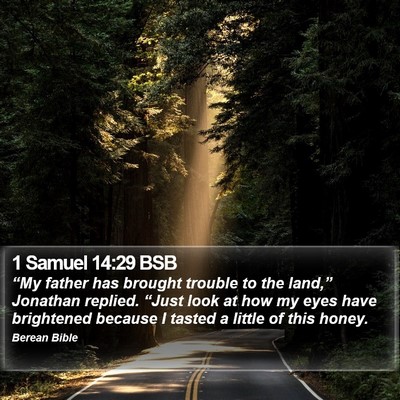1 Samuel 14:29 BSB Bible Verse Image
