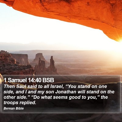 1 Samuel 14:40 BSB Bible Verse Image