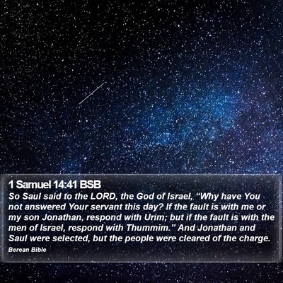 1 Samuel 14:41 BSB Bible Verse Image