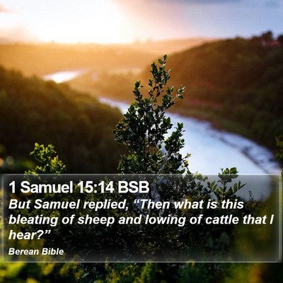 1 Samuel 15:14 BSB Bible Verse Image