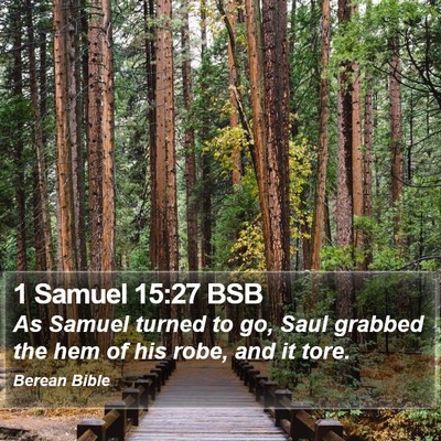1 Samuel 15:27 BSB Bible Verse Image