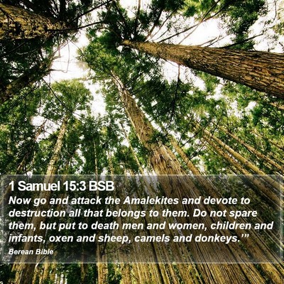 1 Samuel 15:3 BSB Bible Verse Image
