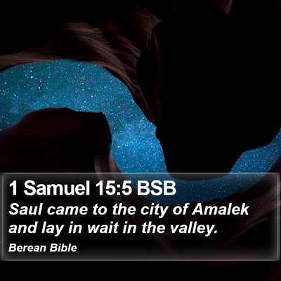 1 Samuel 15:5 BSB Bible Verse Image