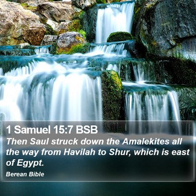 1 Samuel 15:7 BSB Bible Verse Image