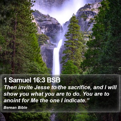 1 Samuel 16:3 BSB Bible Verse Image