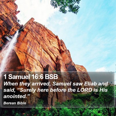 1 Samuel 16:6 BSB Bible Verse Image