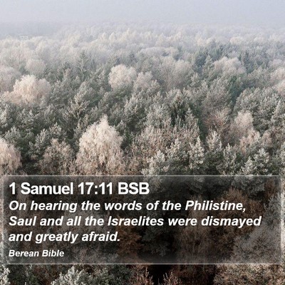 1 Samuel 17:11 BSB Bible Verse Image