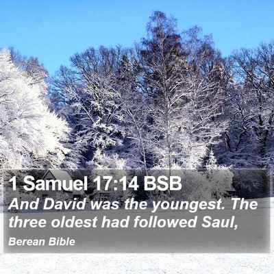1 Samuel 17:14 BSB Bible Verse Image