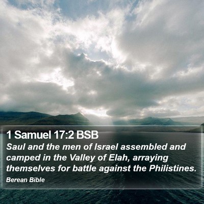 1 Samuel 17:2 BSB Bible Verse Image