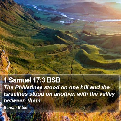 1 Samuel 17:3 BSB Bible Verse Image
