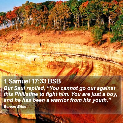 1 Samuel 17:33 BSB Bible Verse Image