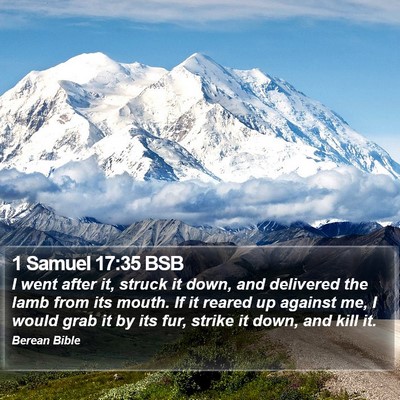 1 Samuel 17:35 BSB Bible Verse Image