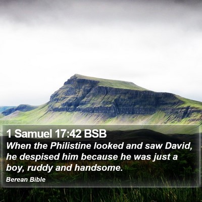 1 Samuel 17:42 BSB Bible Verse Image