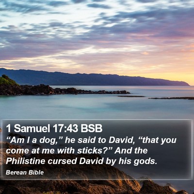1 Samuel 17:43 BSB Bible Verse Image