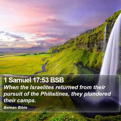 1 Samuel 17:53 BSB Bible Verse Image