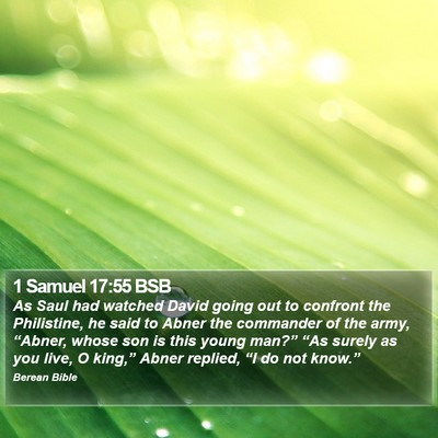 1 Samuel 17:55 BSB Bible Verse Image
