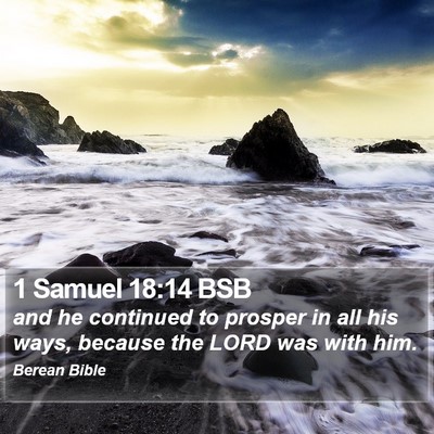 1 Samuel 18:14 BSB Bible Verse Image