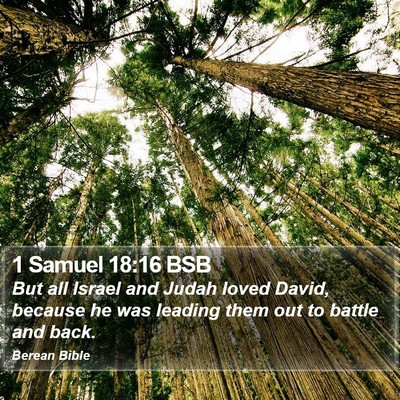 1 Samuel 18:16 BSB Bible Verse Image