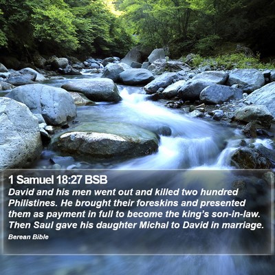 1 Samuel 18:27 BSB Bible Verse Image