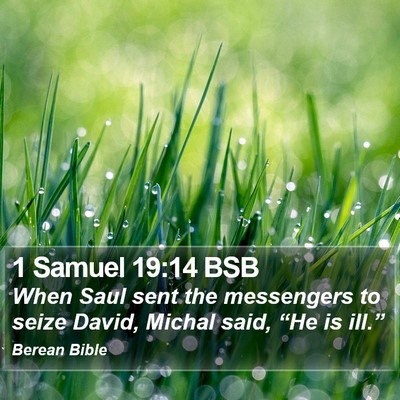 1 Samuel 19:14 BSB Bible Verse Image