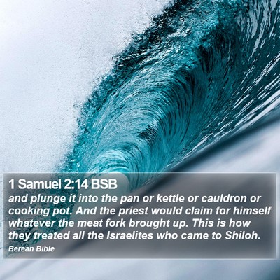 1 Samuel 2:14 BSB Bible Verse Image