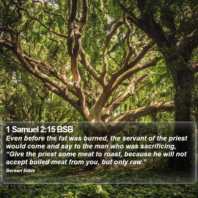 1 Samuel 2:15 BSB Bible Verse Image
