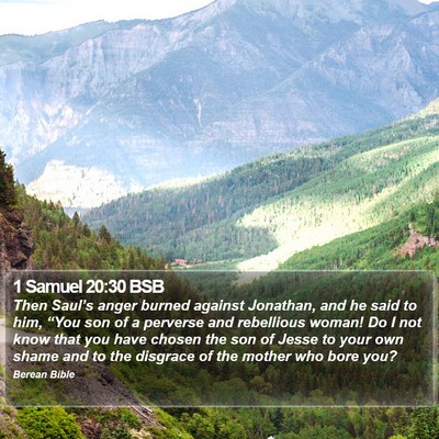 1 Samuel 20:30 BSB Bible Verse Image