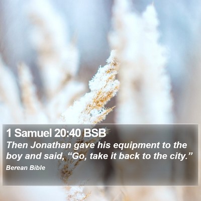 1 Samuel 20:40 BSB Bible Verse Image