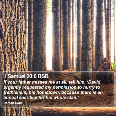 1 Samuel 20:6 BSB Bible Verse Image