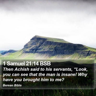 1 Samuel 21:14 BSB Bible Verse Image