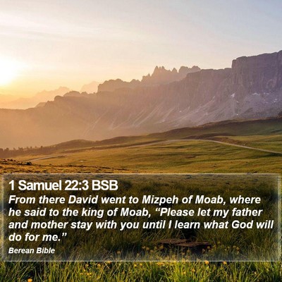 1 Samuel 22:3 BSB Bible Verse Image
