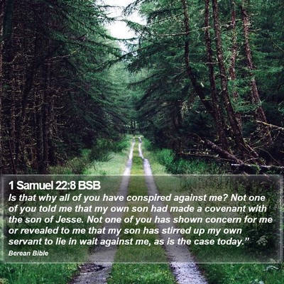 1 Samuel 22:8 BSB Bible Verse Image
