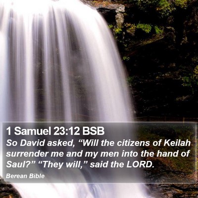 1 Samuel 23:12 BSB Bible Verse Image