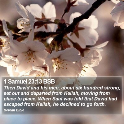 1 Samuel 23:13 BSB Bible Verse Image