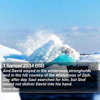 1 Samuel 23:14 BSB Bible Verse Image