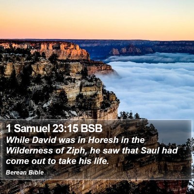 1 Samuel 23:15 BSB Bible Verse Image