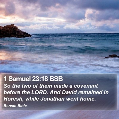 1 Samuel 23:18 BSB Bible Verse Image