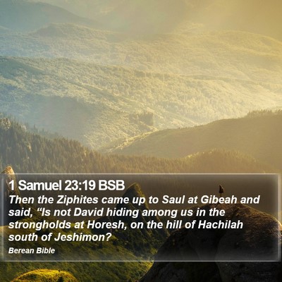 1 Samuel 23:19 BSB Bible Verse Image