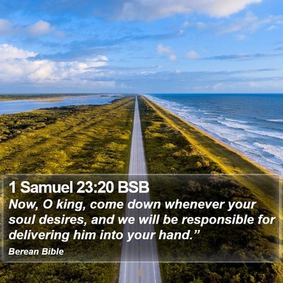 1 Samuel 23:20 BSB Bible Verse Image