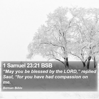 1 Samuel 23:21 BSB Bible Verse Image