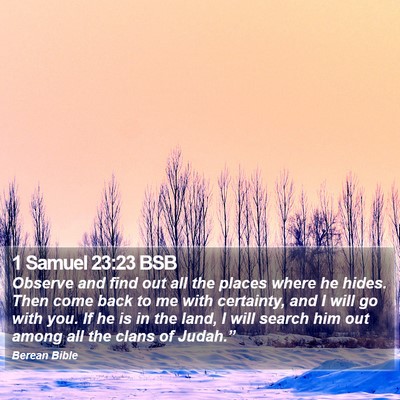 1 Samuel 23:23 BSB Bible Verse Image
