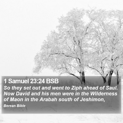 1 Samuel 23:24 BSB Bible Verse Image