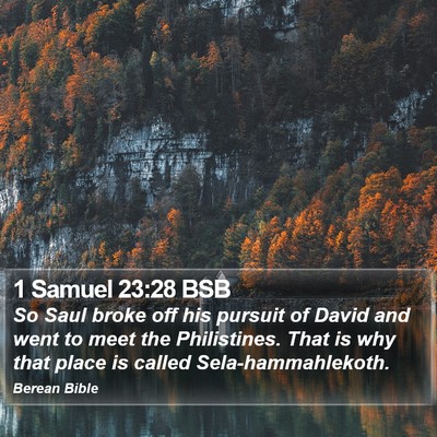 1 Samuel 23:28 BSB Bible Verse Image
