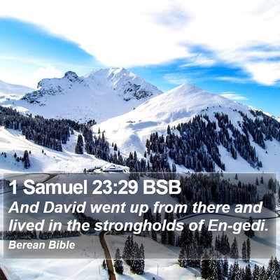 1 Samuel 23:29 BSB Bible Verse Image