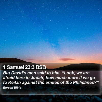 1 Samuel 23:3 BSB Bible Verse Image
