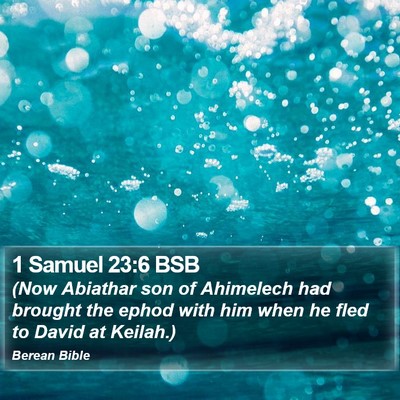 1 Samuel 23:6 BSB Bible Verse Image